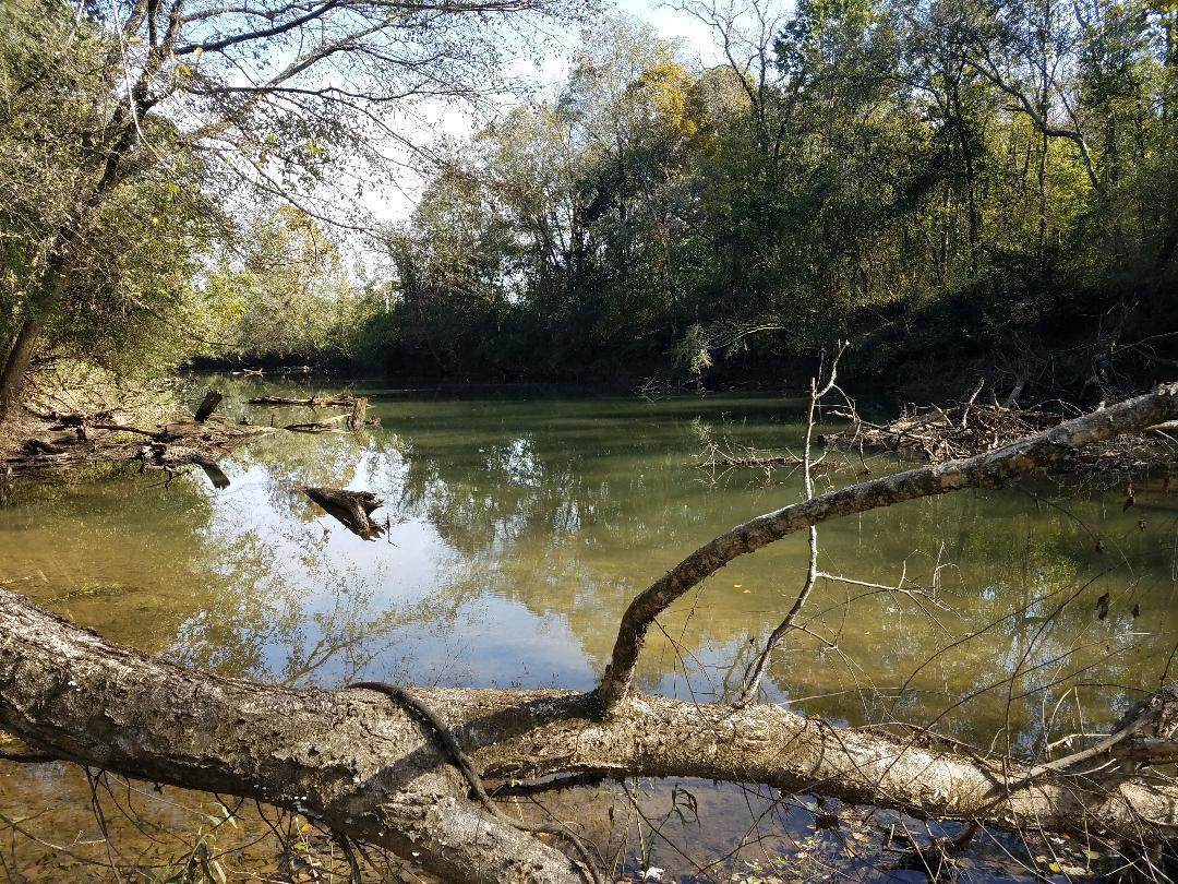 975 Magnolia Avenue - Photo 1