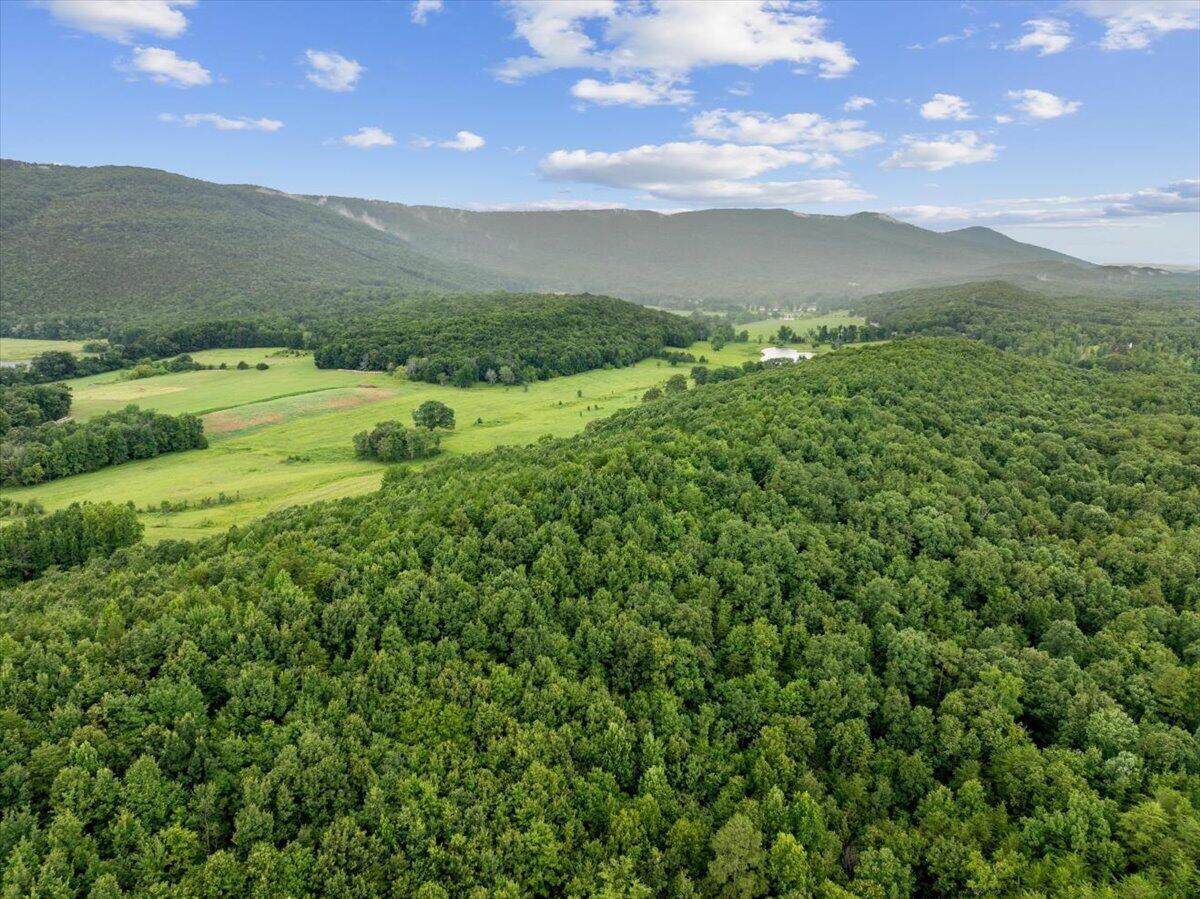 00-Lot #4 Fricks Gap Road - Photo 1