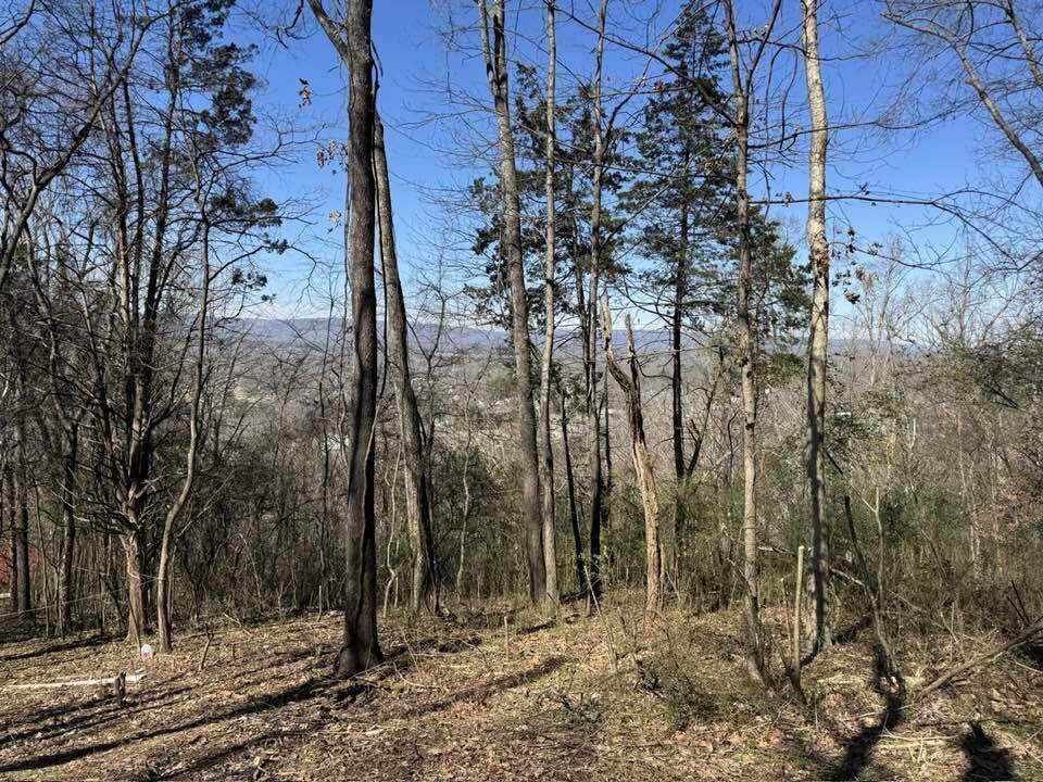 https://bt-photos.global.ssl.fastly.net/chattanooga/1280_boomver_2_1539475-2.jpg