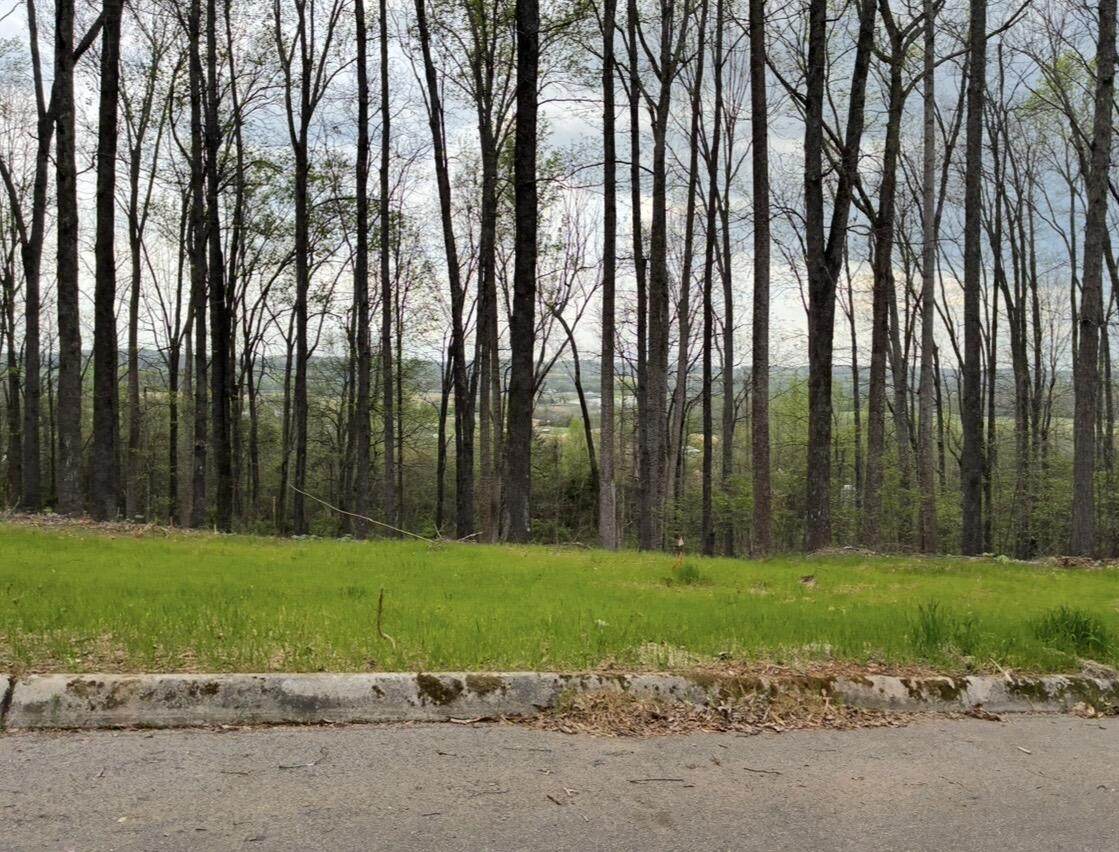 00 Lot 10 Poplar Drive - Photo 1
