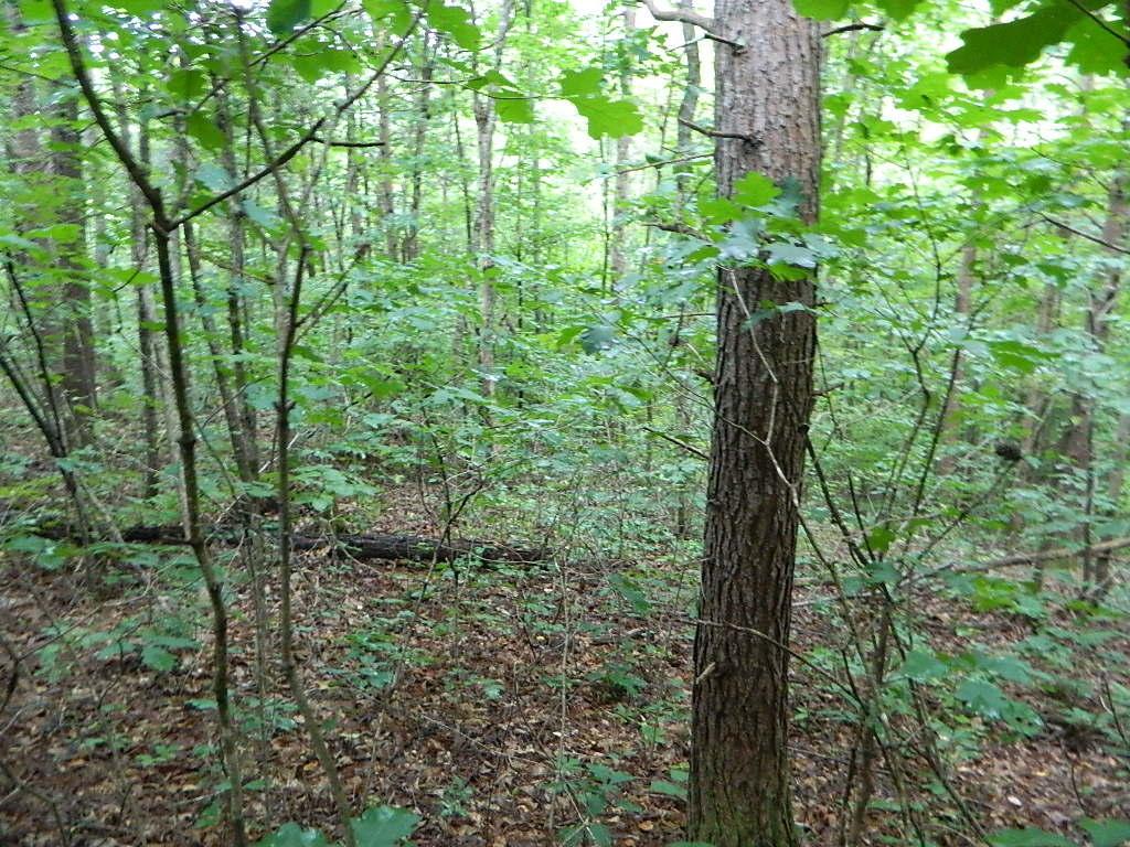 0 Valley Estates Dr - Photo 1
