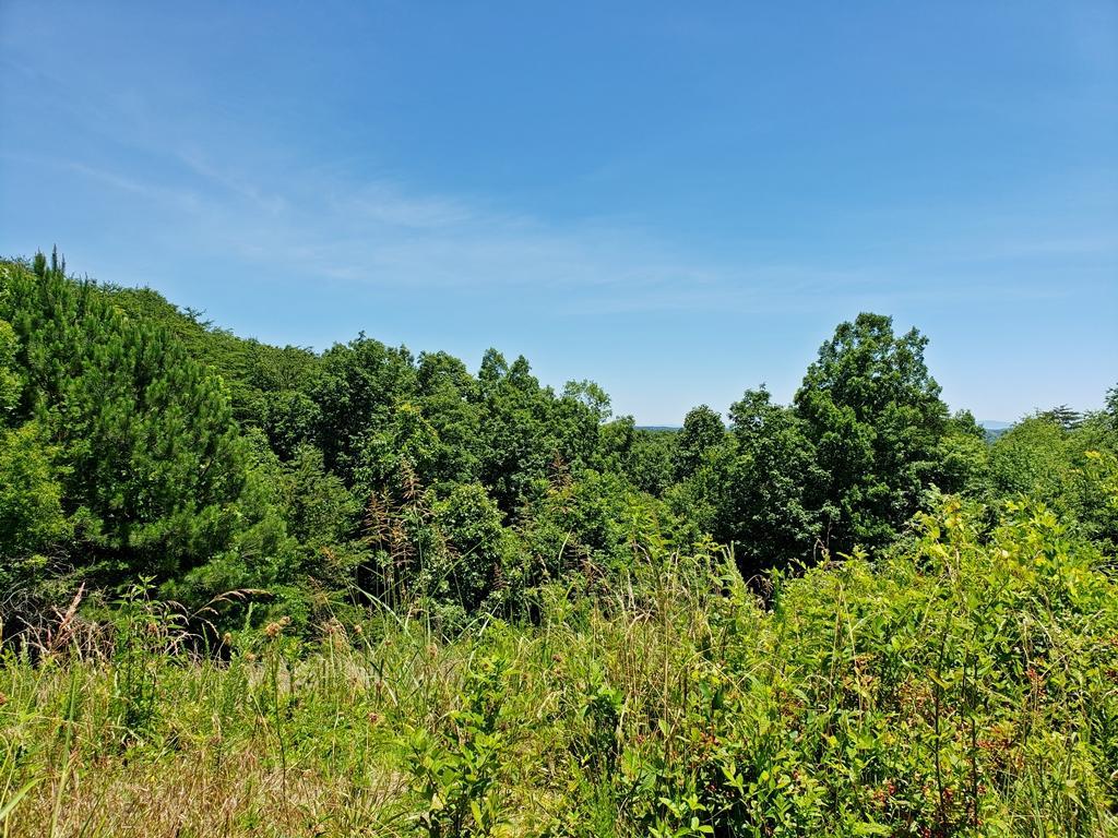 Lot 28 Bridgewater Tr - Photo 1