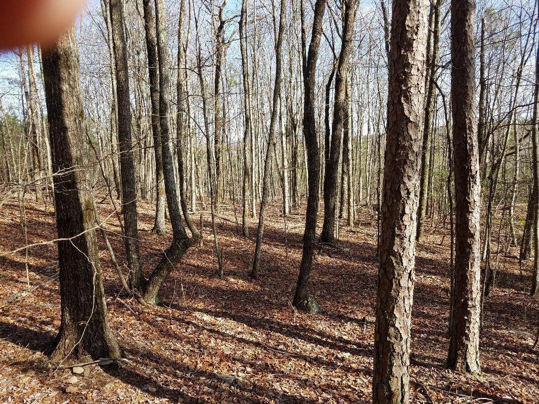 650 John Henry Lewis Rd - Photo 1
