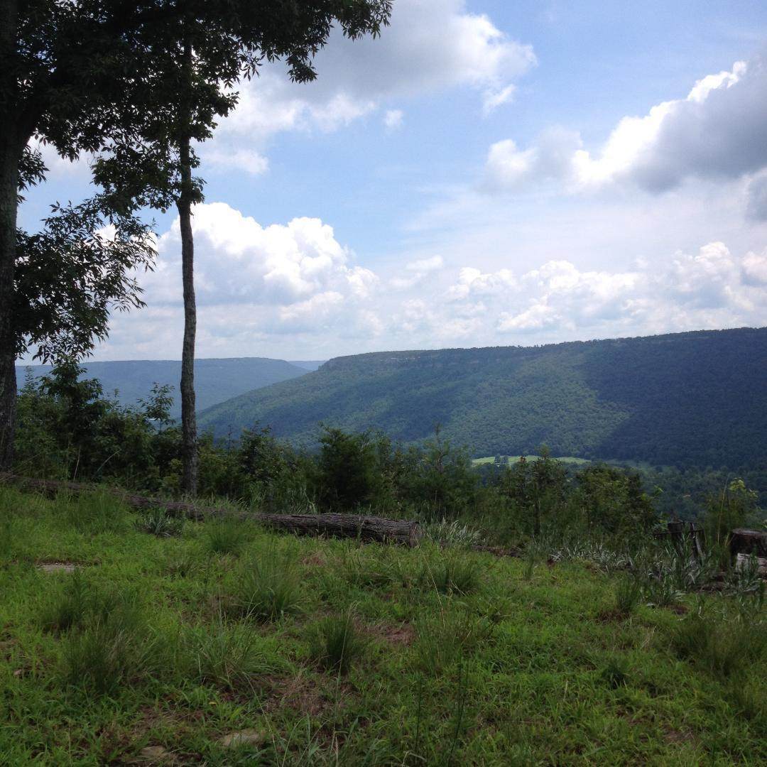 https://bt-photos.global.ssl.fastly.net/chattanooga/orig_boomver_2_1337393-2.jpg
