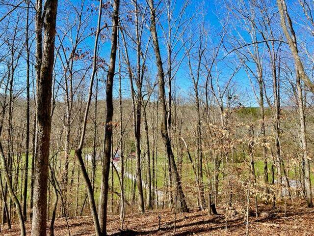 00 Pleasant Rd - Photo 1