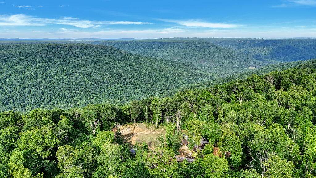 3155 Pigeon Spur Road - Photo 1