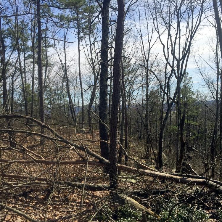 0 Leiderman Rd - Photo 1