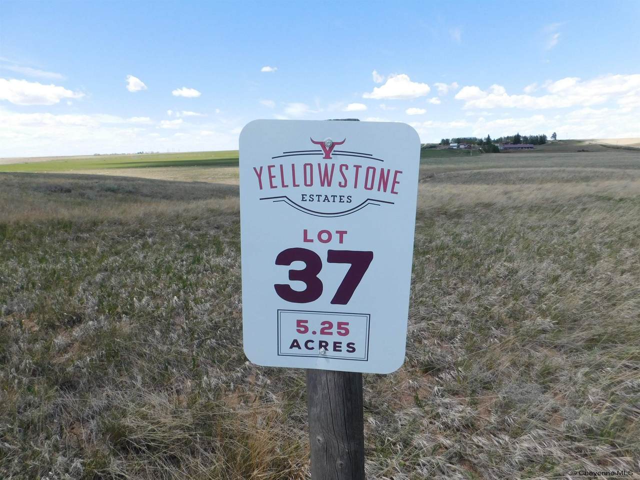Tract 37 Silver Gate Way - Photo 1