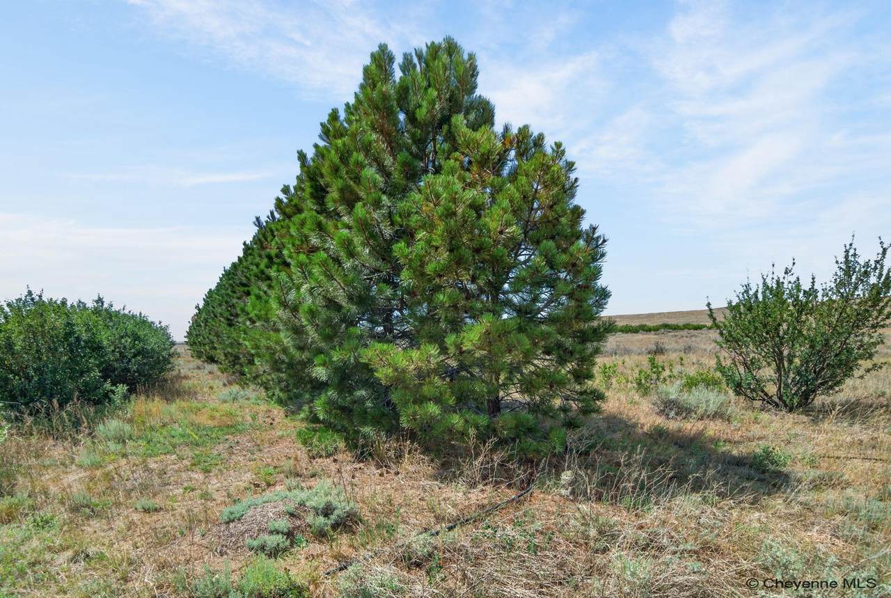 2312 Mugho Rd - Photo 1
