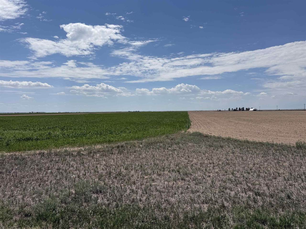 TBD Road 203 - Photo 1