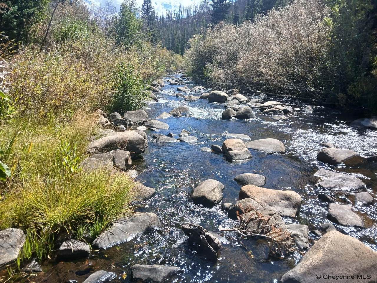 TBD Keystone Lode Rd - Photo 1