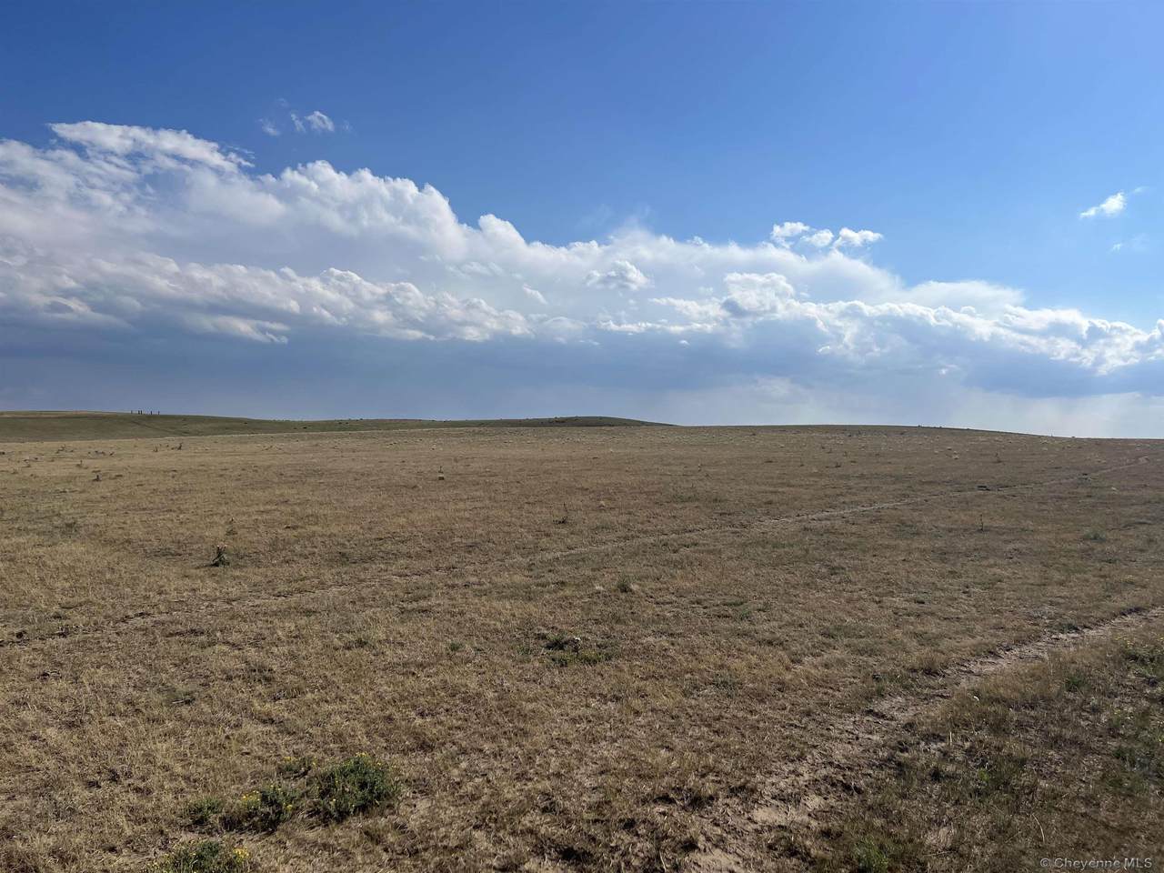 Tract 157 Black Jack Blvd - Photo 1