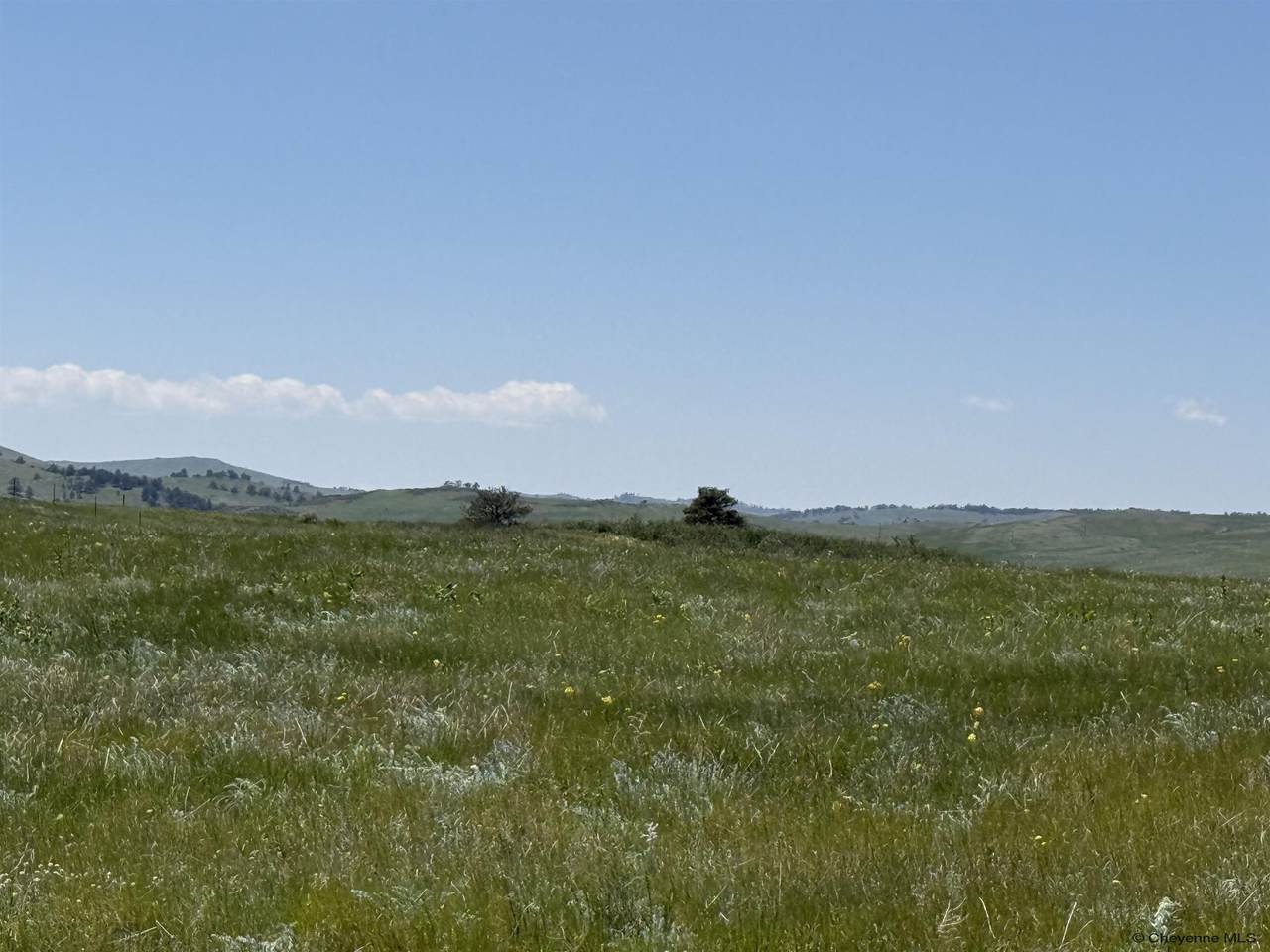 TBD Vada Rae Ct - Photo 1