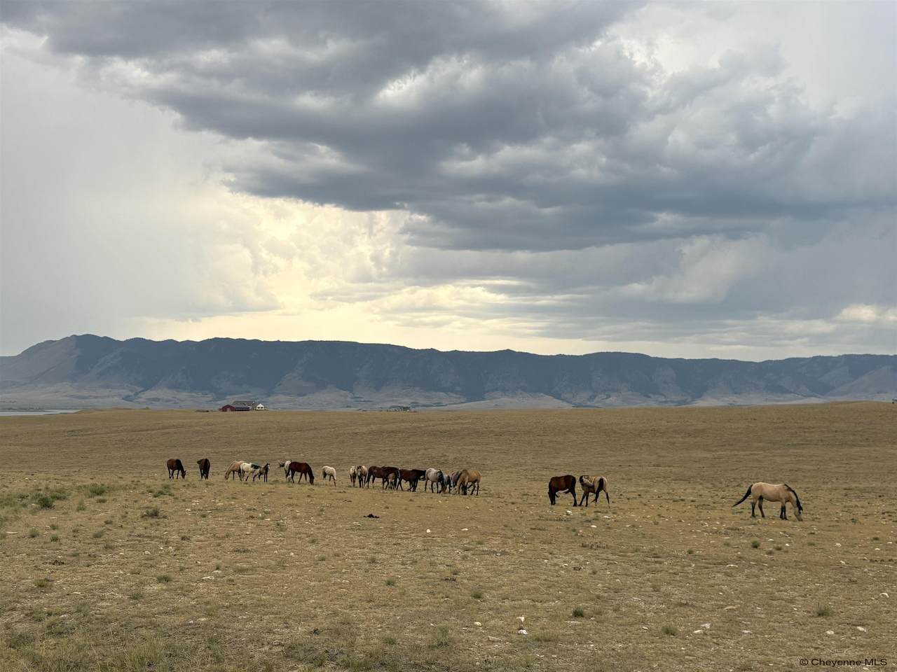 Tr 305 Big Horn Dr - Photo 1