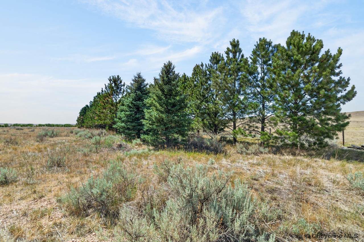 2312 Mugho Rd - Photo 1