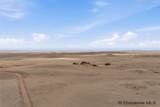 TBD Road 237 - Photo 10