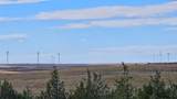 tbd Road 48 - Photo 10