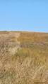 tbd Road 48 - Photo 15