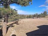 1017 Trails End Dr - Photo 13