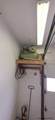 6816 Bomar Dr - Photo 27