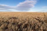 TBD Teepee Rd - Photo 12