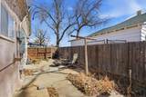 703 Cedar St - Photo 24
