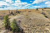 TBD 9 Bear Ridge Rd - Photo 14