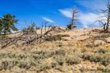TBD 9 Bear Ridge Rd - Photo 19