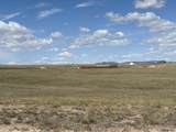 Tract 292 South Carolina Rd - Photo 2