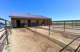 1546 Horse Creek Rd - Photo 23
