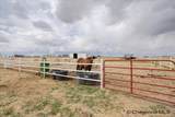755 Patches - Photo 28
