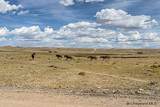 Tr 91 Wild Horse Ranch - Photo 27