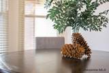 7120 Pasadena Rd - Photo 11