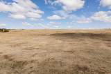 TBD War Admiral Rd - Photo 8