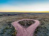 Tr 147 Billy The Kid Blvd - Photo 14