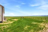 1047 South Mule Trl - Photo 29