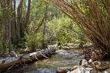 23 Broken Bridge Rd - Photo 33