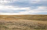 TBD Road 146 - Photo 3