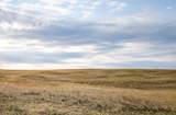 TBD Road 146 - Photo 4