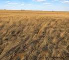 TBD Road 146 - Photo 5