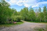 1124 Highway 11 - Photo 35
