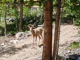 9 Keystone Lode Rd - Photo 14