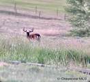 2084 Hwy 230 - Photo 34