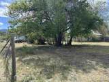101 Balsam St - Photo 25
