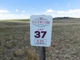 Tract 37 Silver Gate Way - Photo 1