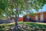 518 Andra Ct - Photo 31