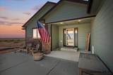 3753 Riata Loop - Photo 5