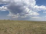 Lot 299 South Carolina Rd - Photo 2