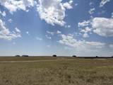 Lot 299 South Carolina Rd - Photo 3