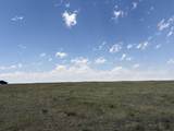 Lot 299 South Carolina Rd - Photo 4